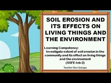 soil erosion effects on living things|The Effects of Soil Erosion on the Environment .